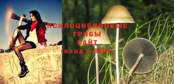 PSILOCYBIN Алексеевка