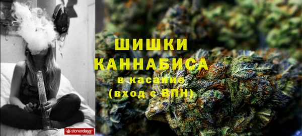 PSILOCYBIN Алексеевка