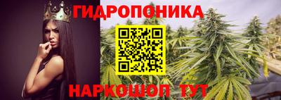 гидра Комсомольск-на-Амуре