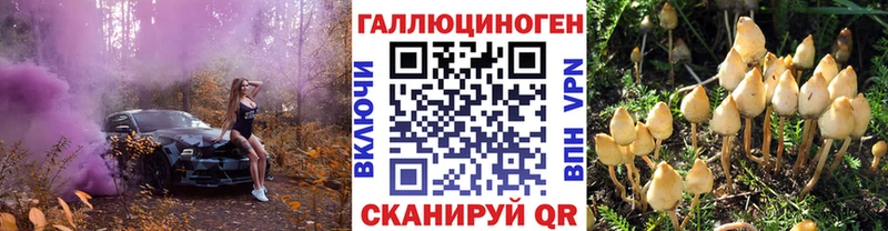 даркнет сайт  Десногорск  даркнет клад  Псилоцибиновые грибы Psilocybe 