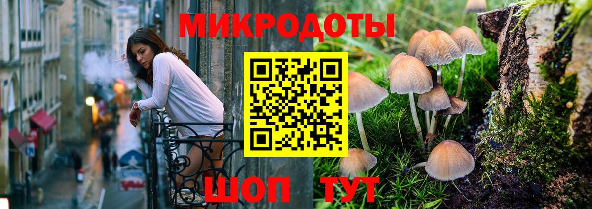 Галлюциногенные грибы Psilocybe  Вход с VPN  Десногорск 